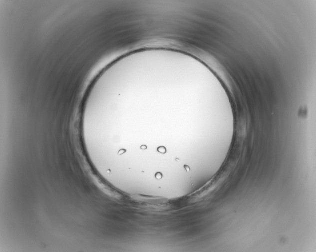 X0000090451053200708102045