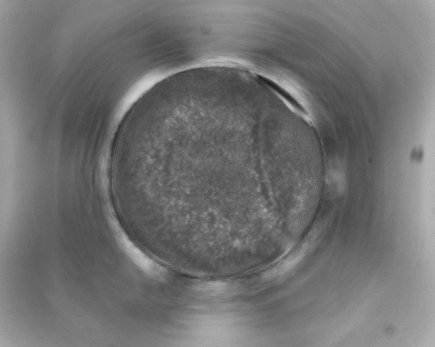 X0000090451054200708102045