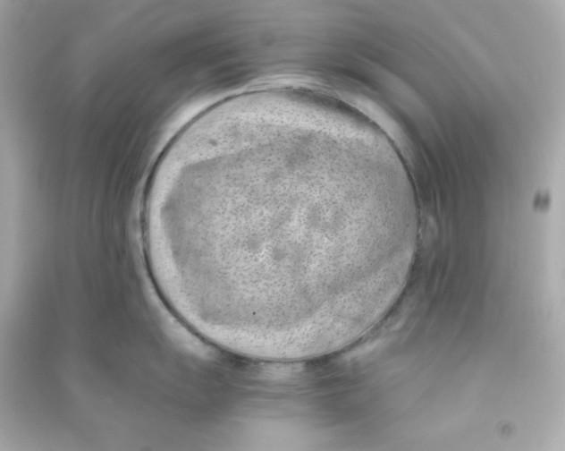 X0000090451055200708102045