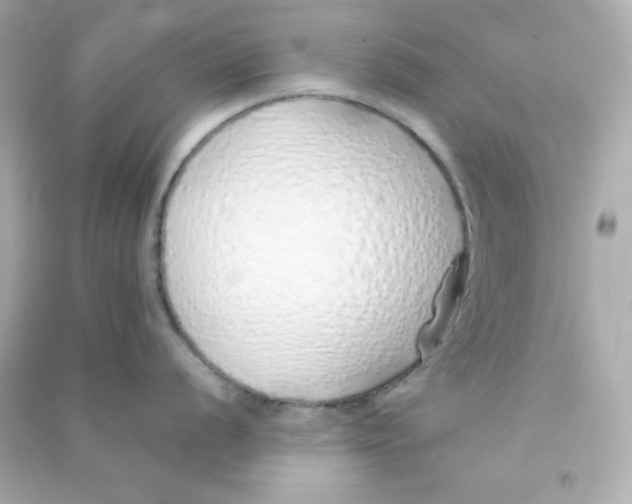 X0000090451056200708102045