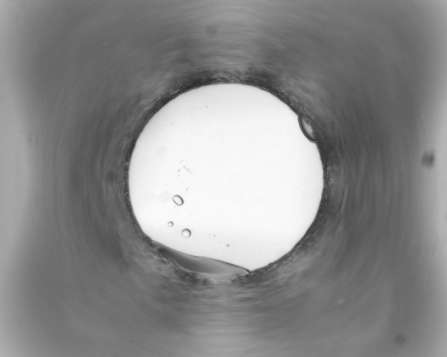 X0000090451057200708102044