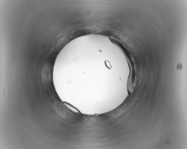 X0000090451058200708102044