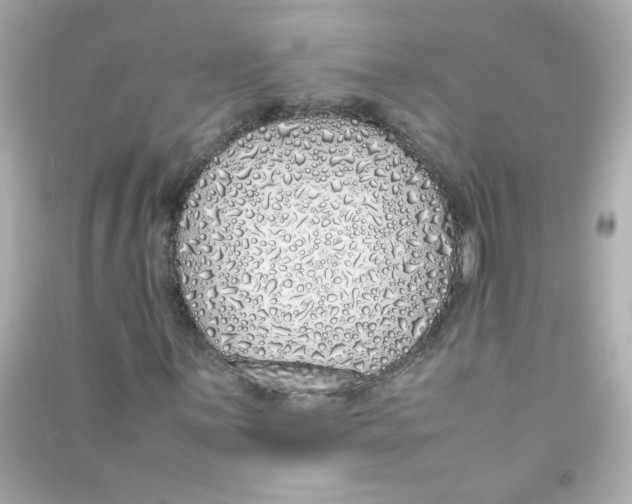 X0000090451059200708102044