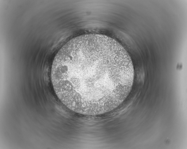 X0000090451060200708102044