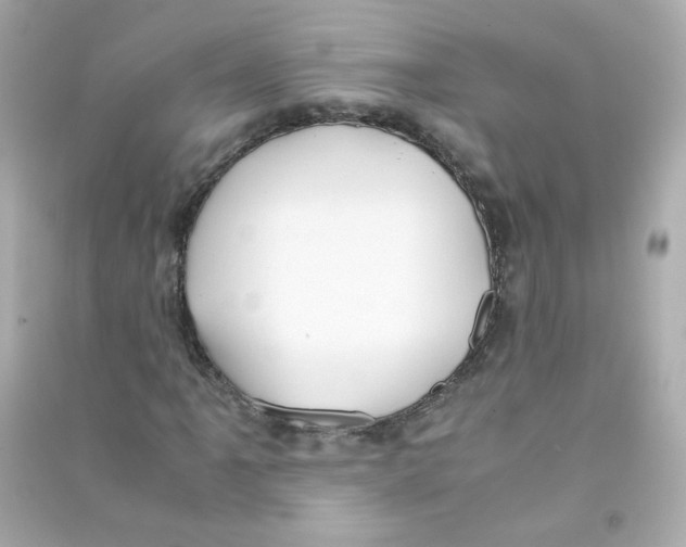 X0000090451061200708102044