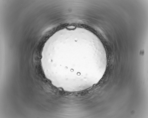 X0000090451063200708102044