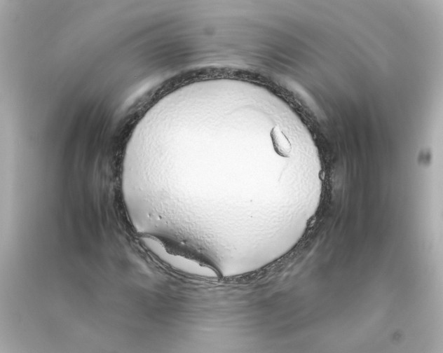 X0000090451064200708102044