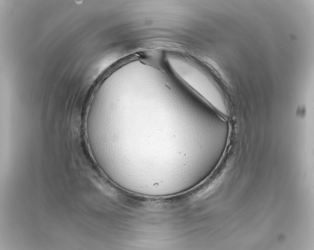 X0000090451065200708102044