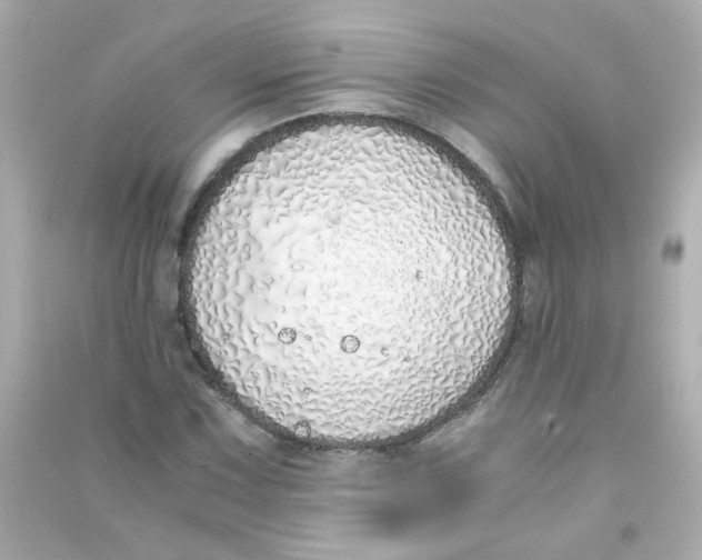 X0000090451067200708102044