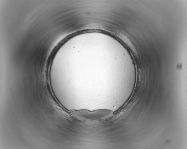 X0000090451068200708102044