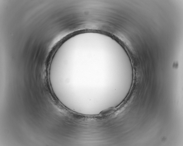 X0000090451070200708102044