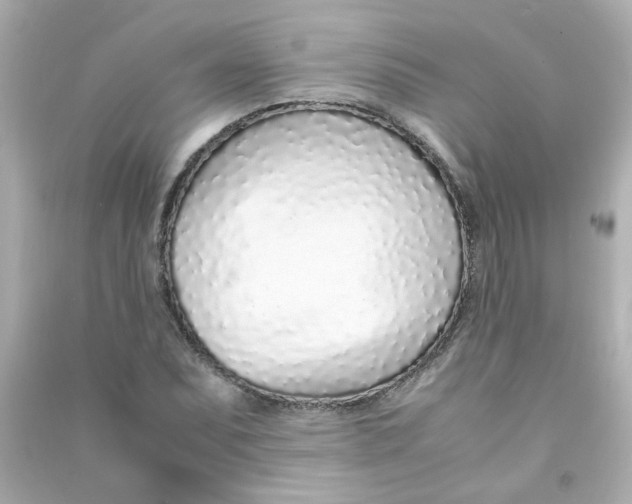 X0000090451071200708102044