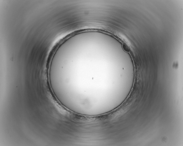 X0000090451072200708102044