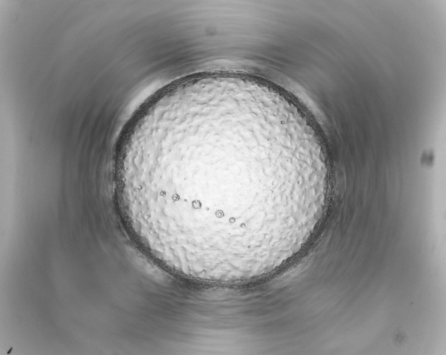 X0000090451075200708102044