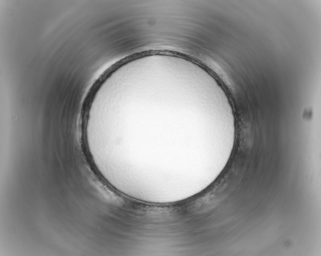 X0000090451076200708102044