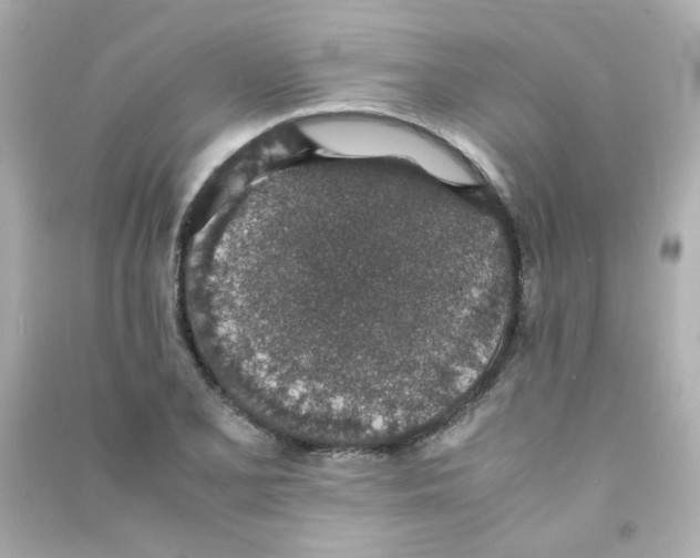 X0000090451077200708102044