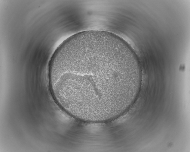 X0000090451078200708102044