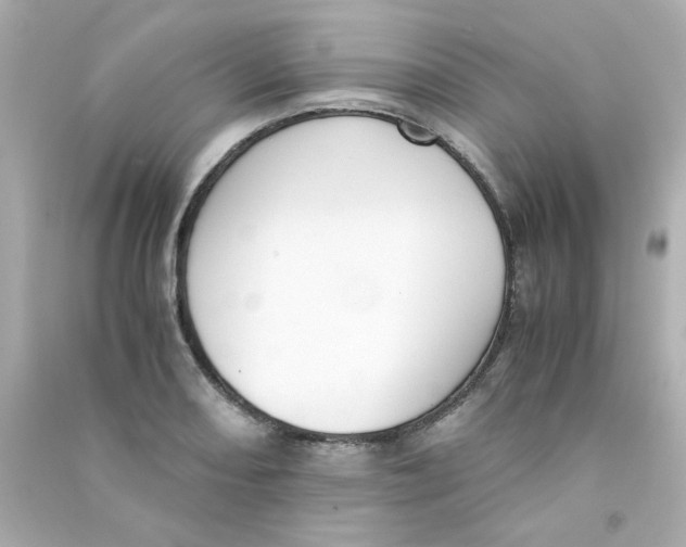 X0000090451082200708102044