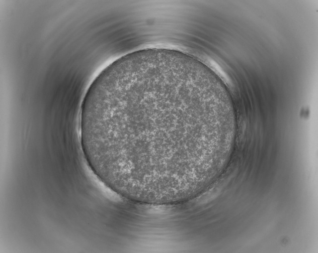 X0000090451084200708102044