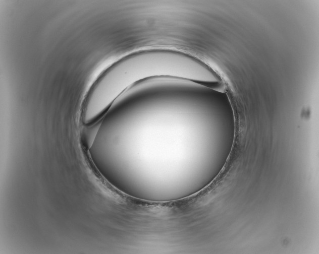 X0000090451085200708102044