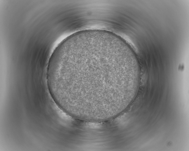 X0000090451086200708102044