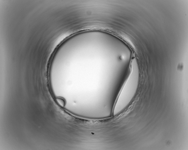 X0000090451087200708102044