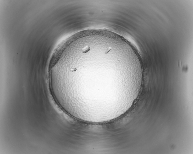 X0000090451088200708102044