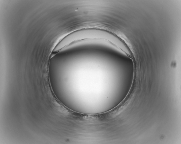 X0000090451089200708102044