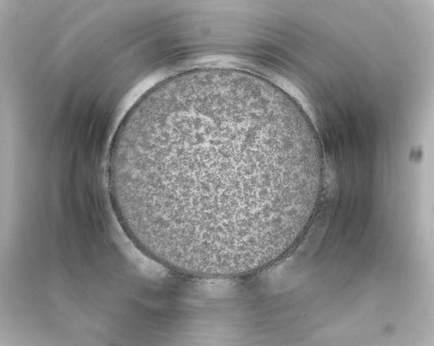 X0000090451090200708102044