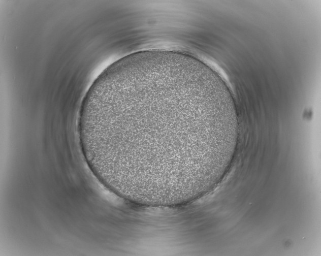 X0000090451091200708102044