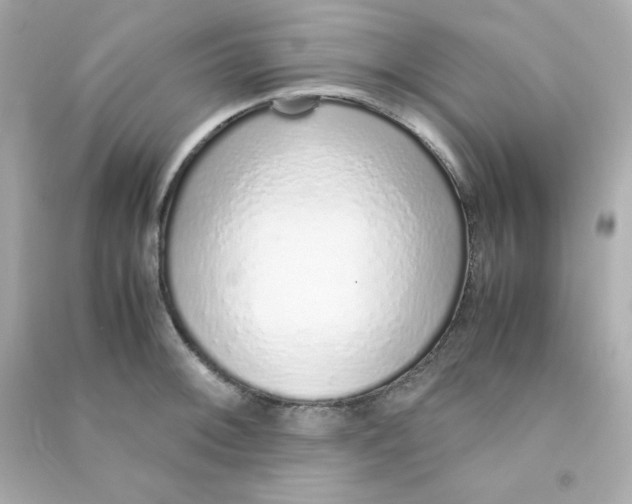 X0000090451092200708102044