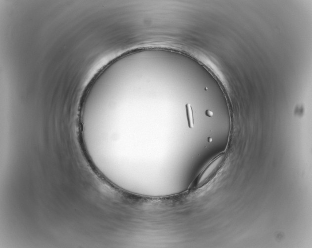 X0000090451093200708102044