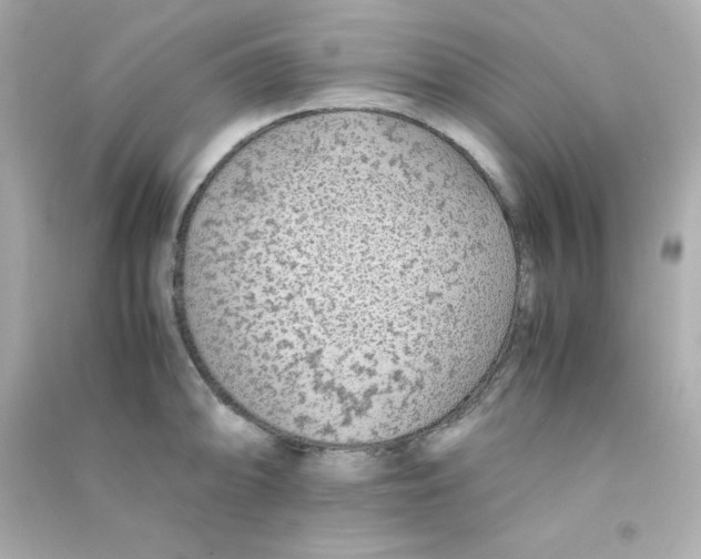 X0000090451094200708102044