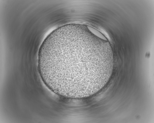 X0000090451095200708102044