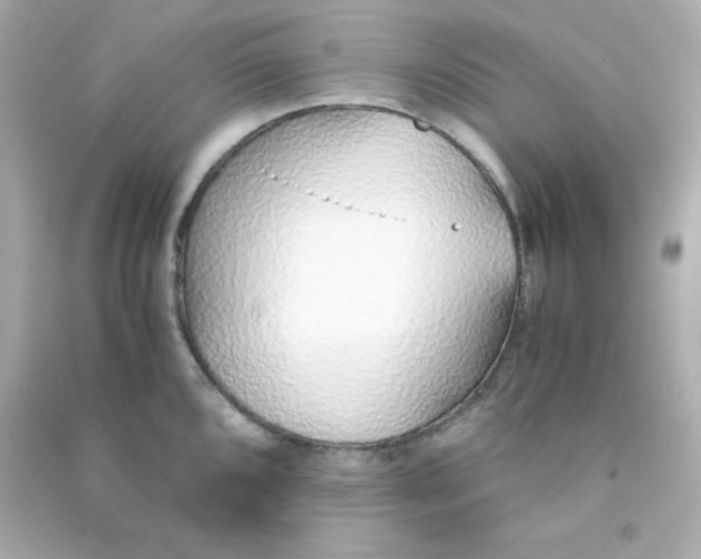 X0000090451096200708102044