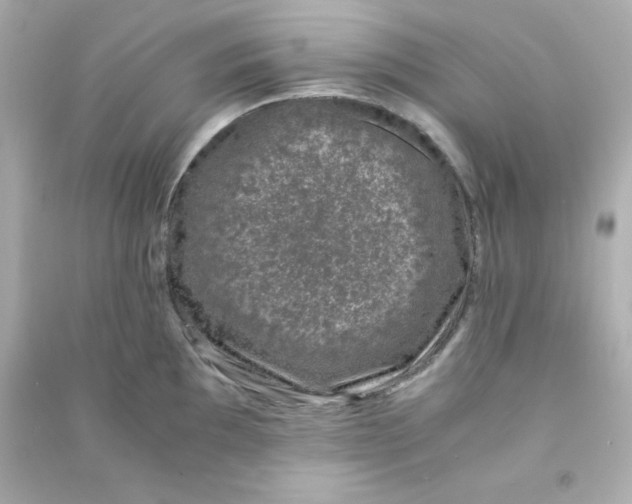 X0000090451097200708102044