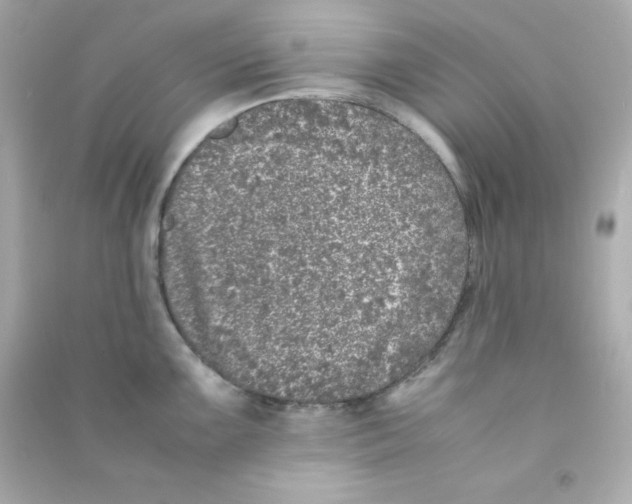 X0000090451099200708102043