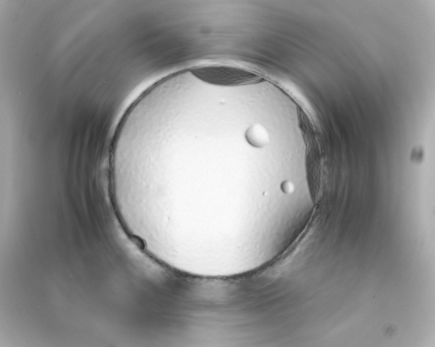 X0000090451100200708102043