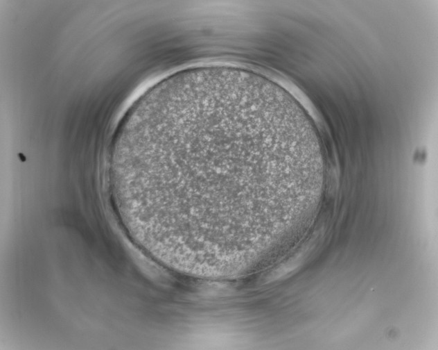 X0000090451101200708102043