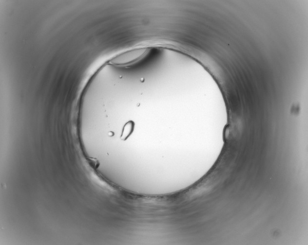 X0000090451102200708102043