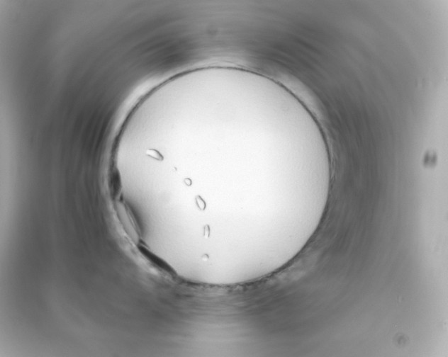 X0000090451104200708102043