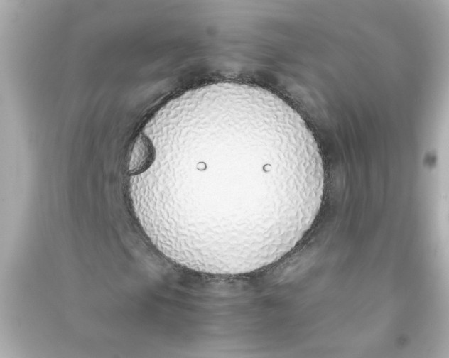 X0000090451105200708102043