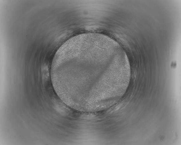 X0000090451106200708102043