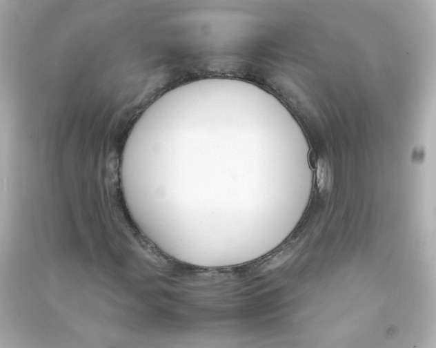 X0000090451107200708102043