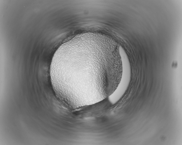 X0000090451108200708102043