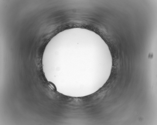 X0000090451109200708102043