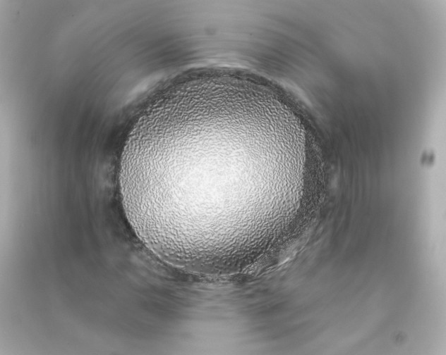 X0000090451110200708102043