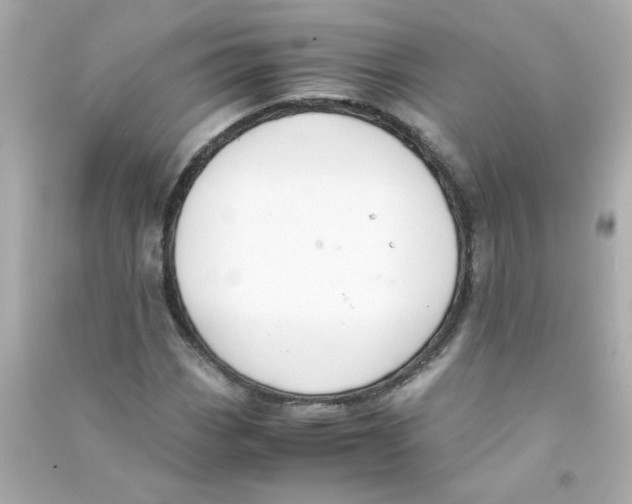 X0000090451113200708102043