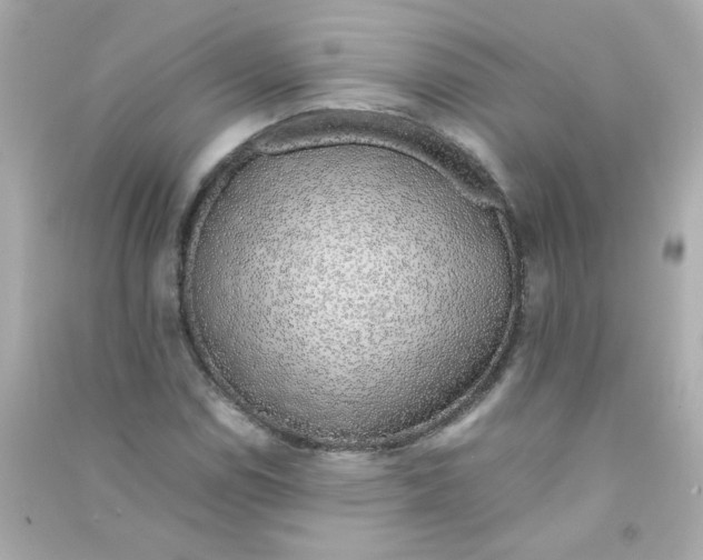 X0000090451114200708102043