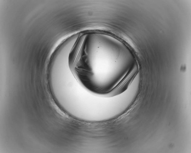 X0000090451116200708102043